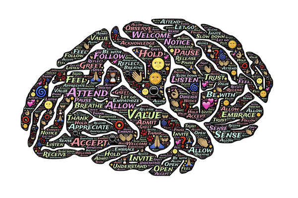 Brains and Machine Intelligence, A Long Time Coming
